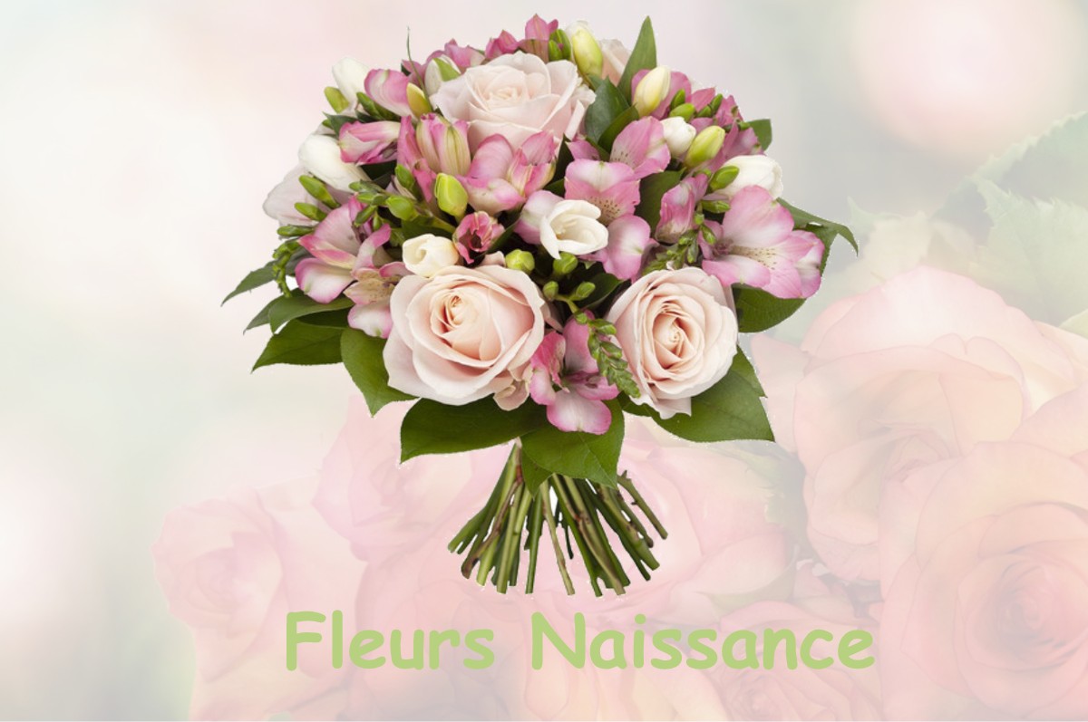 fleurs naissance SAINT-PIERRE-DE-COUTANCES